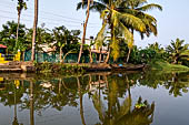 Kerala backwaters, our three hours neighborhood tour in the narrow canoe towards Vembanad Lake and along one of the  narrow canal running near our guest house at Kumarakom. 